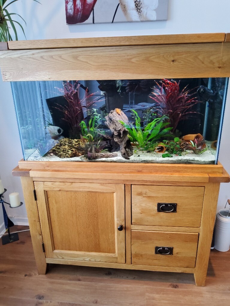 oak fish tank